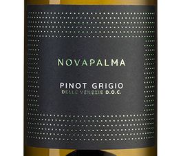 Вино Pinot Grigio, (137990), белое полусухое, 2021 г., 0.75 л, Пино Гриджо цена 1640 рублей