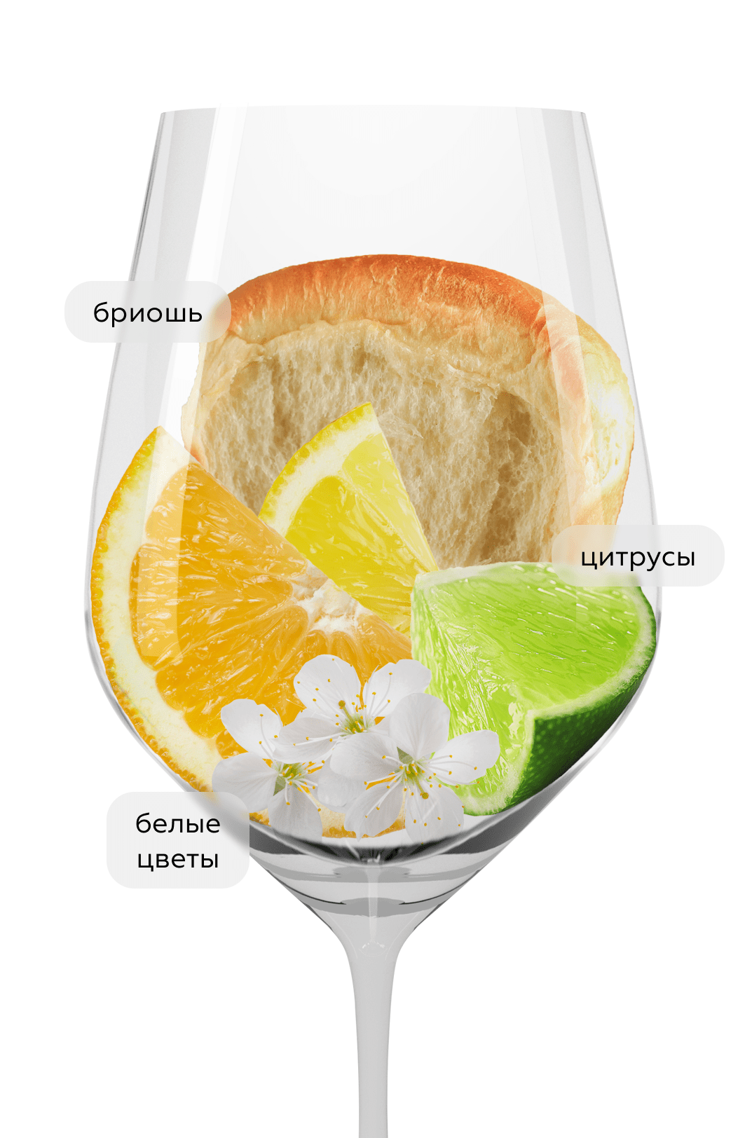 Игристое вино Cremant de Bordeaux Brut в подарочной упаковке, Alexis Lichine, (156982), Франция, Бордо, белое, брют, 0.75 л, Креман де Бордо Брют, цена 2990 рублей