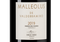 Вино со зрелыми танинами Malleolus de Valderramiro в подарочной упаковке