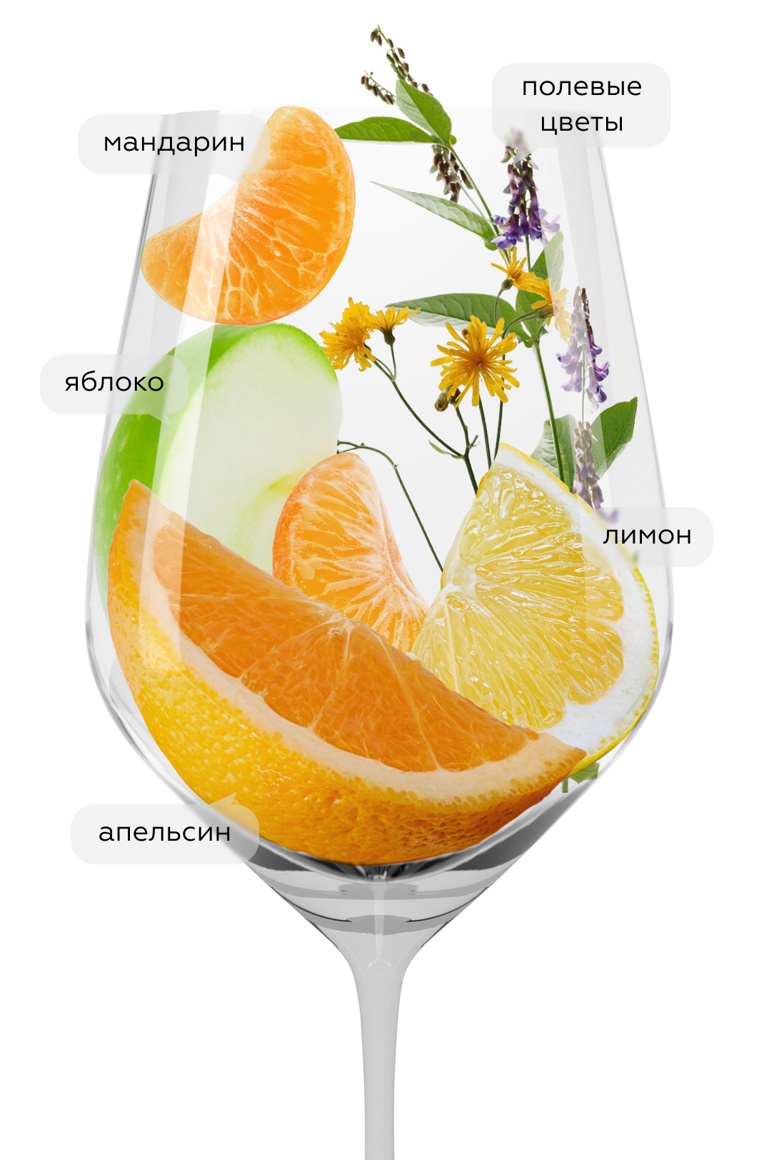 Вино Krakhuna, Binekhi, 2022, (141502), Грузия, Имеретия, белое, сухое, 0.75 л, Крахуна, цена 2490 рублей