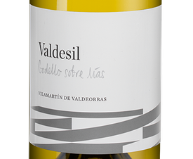 Вино Valdesil Valdeorras, (116313), белое сухое, 2017 г., 0.75 л, Вальдесил Вальдеоррас цена 4490 рублей