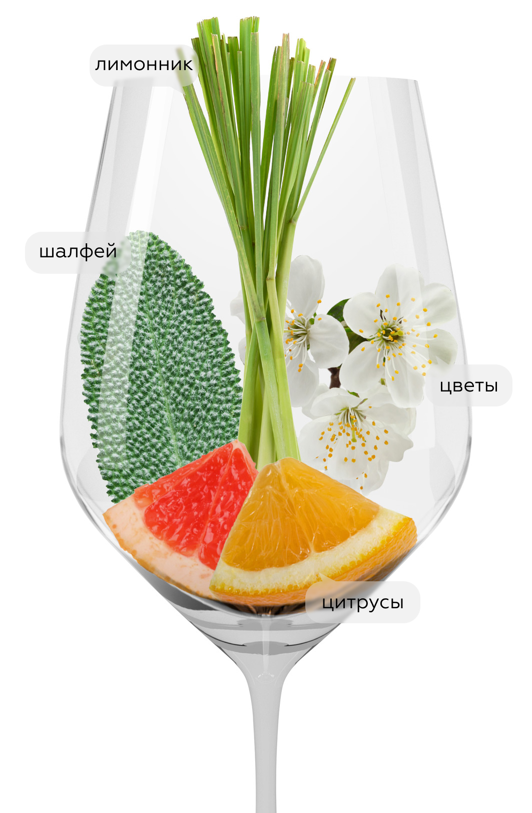 Вино Gavi La Scolca, 2023, (146904), Италия, Пьемонт, белое, сухое, 0.75 л, Гави Ла Сколька, цена 3143 рублей