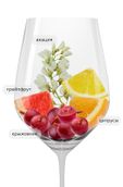 Pure Sauvignon Blanc