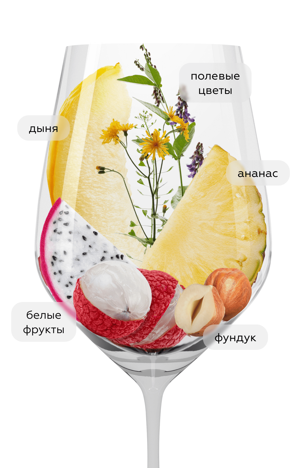 Вино Casal di Serra, Umani Ronchi, 2021, (137954), Италия, Марке, белое, сухое, 0.75 л, Казаль ди Серра, цена 3790 рублей