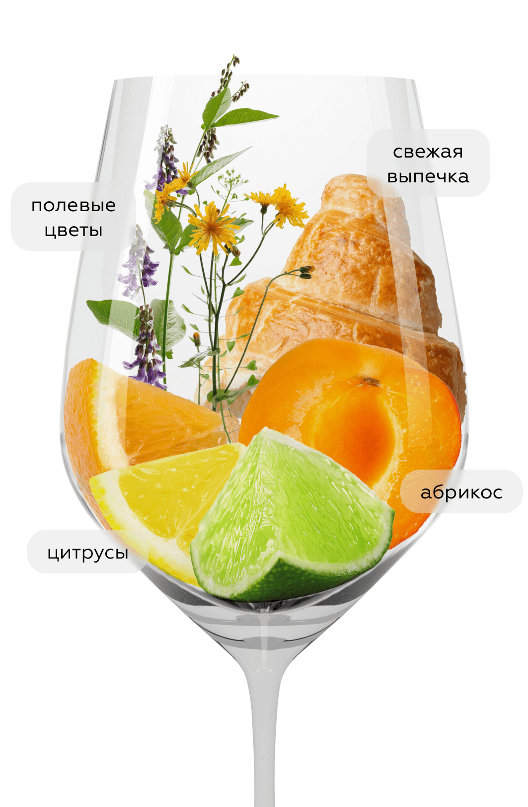 Игристое вино Балаклава Брют Резерв, Золотая Балка, 2024, 0.375л, (156922), Россия, Крым, белое, брют, 0.375 л, Балаклава Брют Резерв, цена 840 рублей