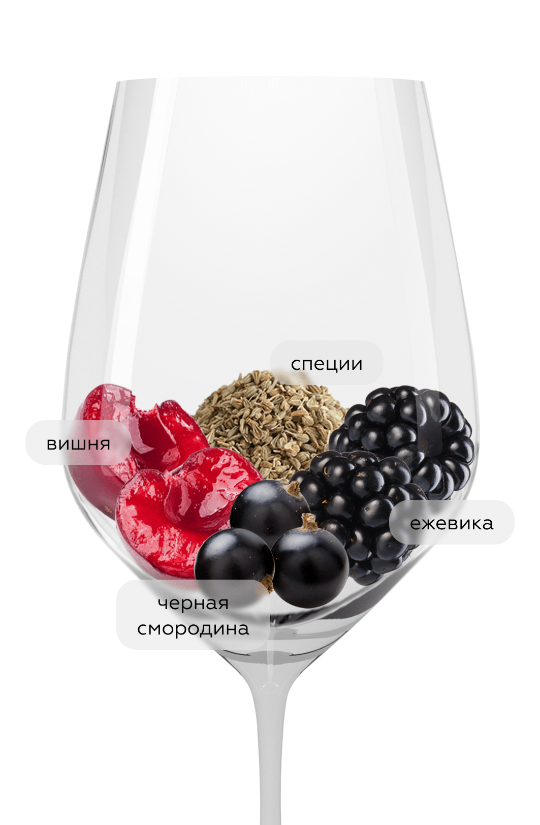 Вино Шишка. Саперави, Мезыбь, 2024, (156737), Россия, Кубань, красное, сухое, 0.75 л, Шишка. Саперави, цена 1990 рублей