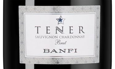 Игристое вино Tener Sauvignon Chardonnay, (140401), белое брют, 2021 г., 0.75 л, Тенер Совиньон Шардоне цена 2990 рублей