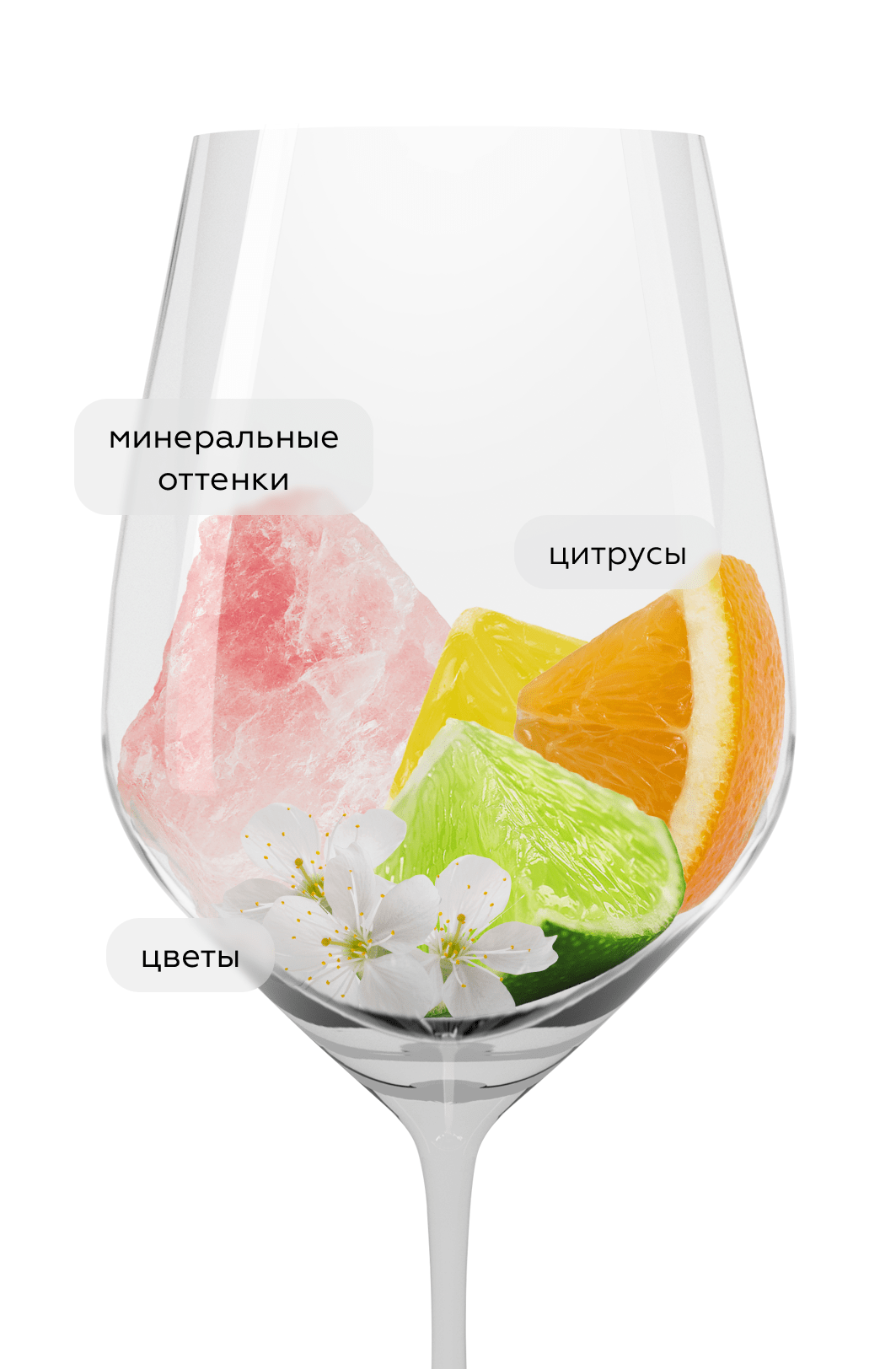 Вино Carolina Reserva Sauvignon Blanc, Santa Carolina, 2023, (147836), Чили, Аконкагуа, белое, сухое, 0.75 л, Каролина Ресерва Совиньон Блан, цена 1192 рублей