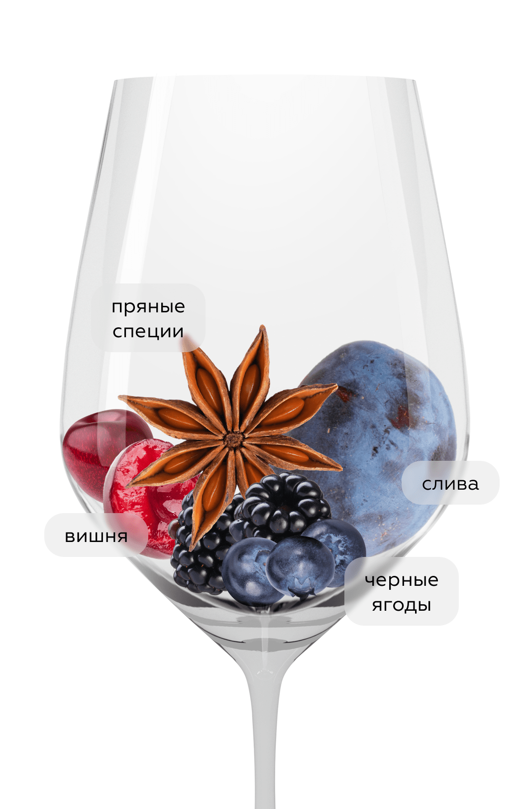 Вино Tenacity Shiraz, Two Hands, 2023, (150176), Австралия, Южная Австралия, красное, сухое, 0.75 л, Тенесити Шираз, цена 3990 рублей