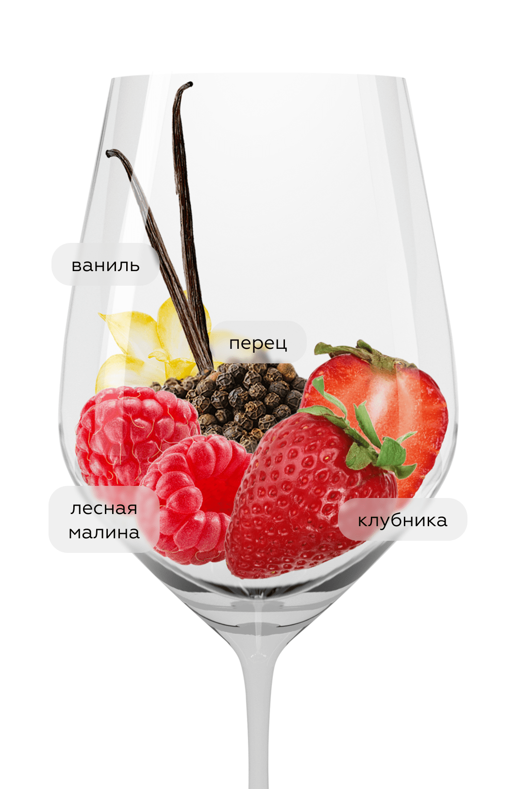 Вино Le Grand Noir Pinot Noir, 2024, (159063), Франция, Лангедок-Руссильон, красное, сухое, 0.75 л, Ле Гран Нуар Пино Нуар, цена 1272 рублей