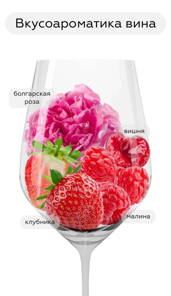 Игристое вино Rosa Regale, Banfi, 2025, (159393), Италия, Пьемонт, красное, сладкое, 0.75 л, Роза Регале, цена 4490 рублей