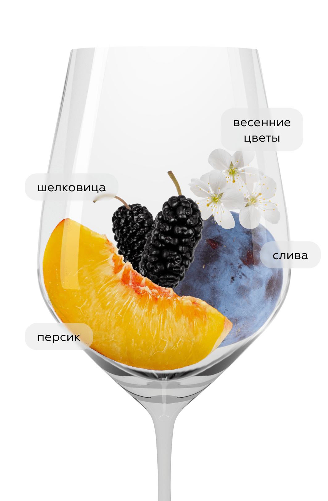 Вино Renome Рислинг/Шардоне, Скалистый Берег, 2024, (155254), Россия, Кубань, белое, сухое, 0.75 л, Реноме Рислинг/ Шардоне, цена 1290 рублей