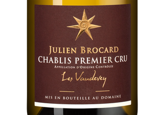 Вино Chablis Premier Cru Vaudevey, (148739), белое сухое, 2022, 0.75 л, Шабли Премье Крю Водеве цена 9990 рублей