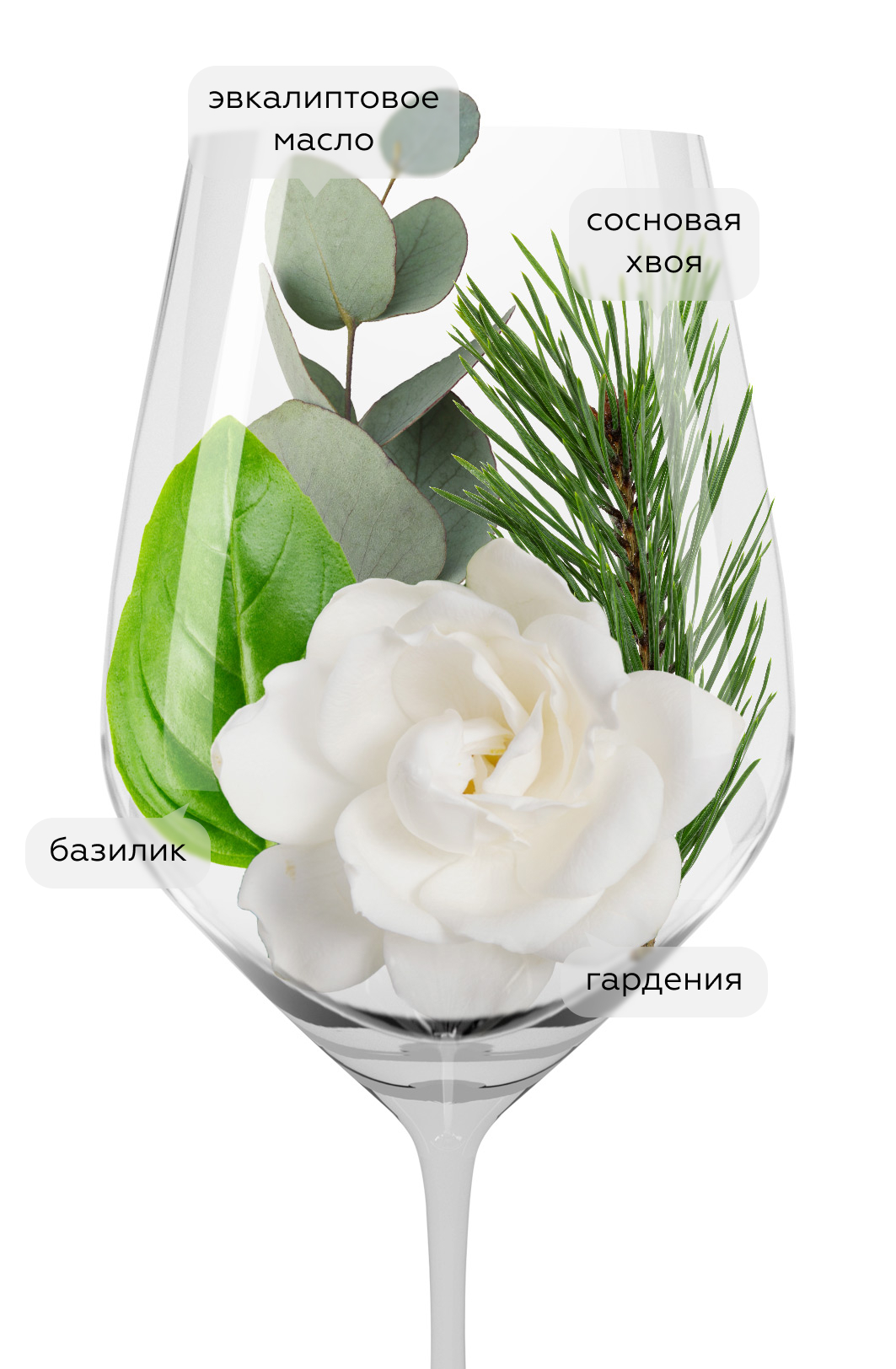 Вино Moscatel Super Estrella, Roberto Henriquez, 2020, (127276), Чили, Южный регион, белое, сухое, 0.75 л, Москатель Супер Эстрелла, цена 7990 рублей