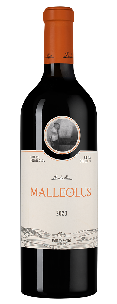 Вино Malleolus, Emilio Moro, 2020, (140619), Испания, Кастилия и Леон, красное, сухое, 0.75 л, Рибера дель Дуэро Мальеолус, цена 11990 рублей