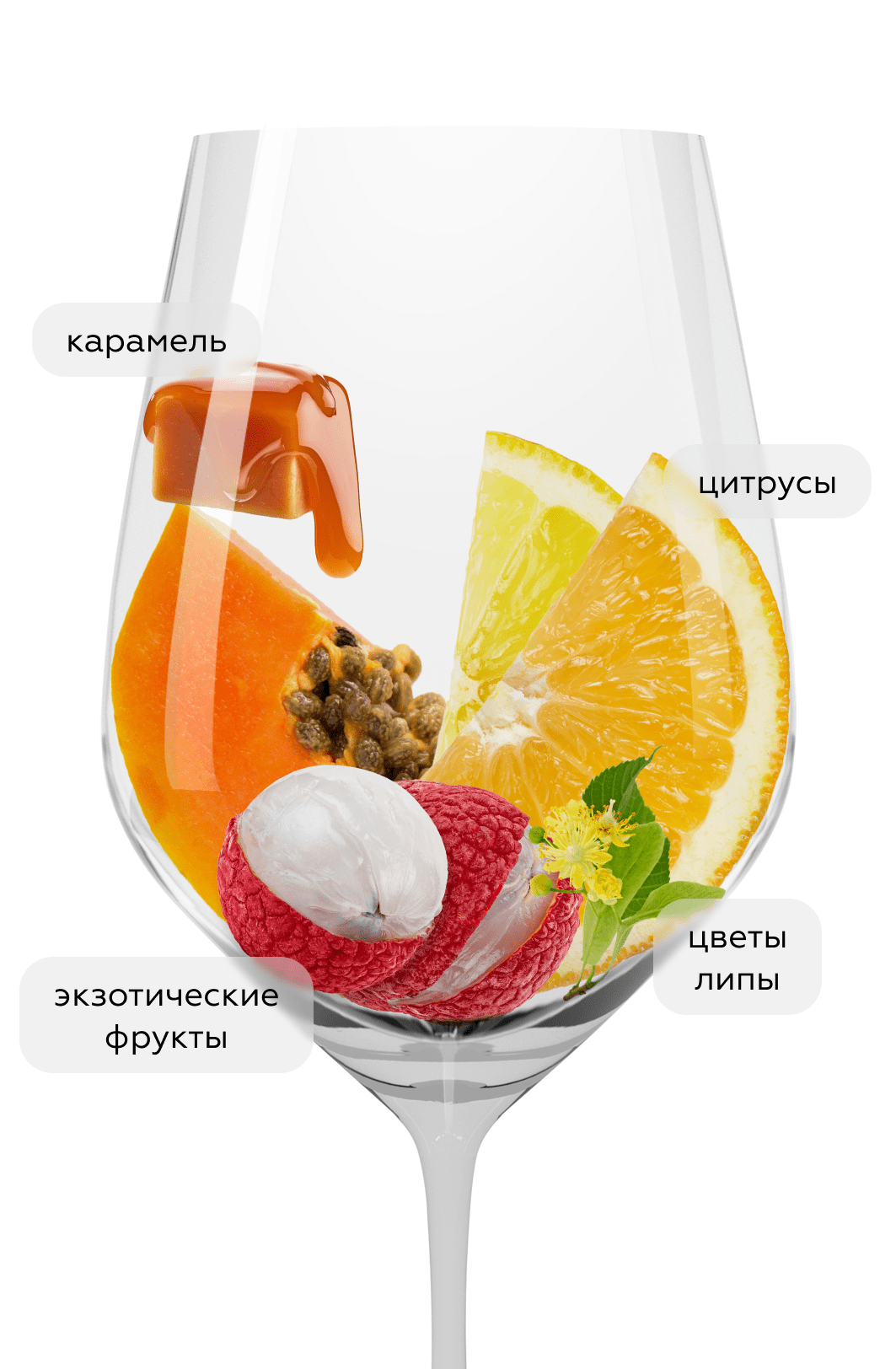 Вино Chardonnay Reserva, Caliterra, 2019, (125435), Чили, Центральная Долина, белое, сухое, 0.75 л, Шардоне Ресерва, цена 2190 рублей