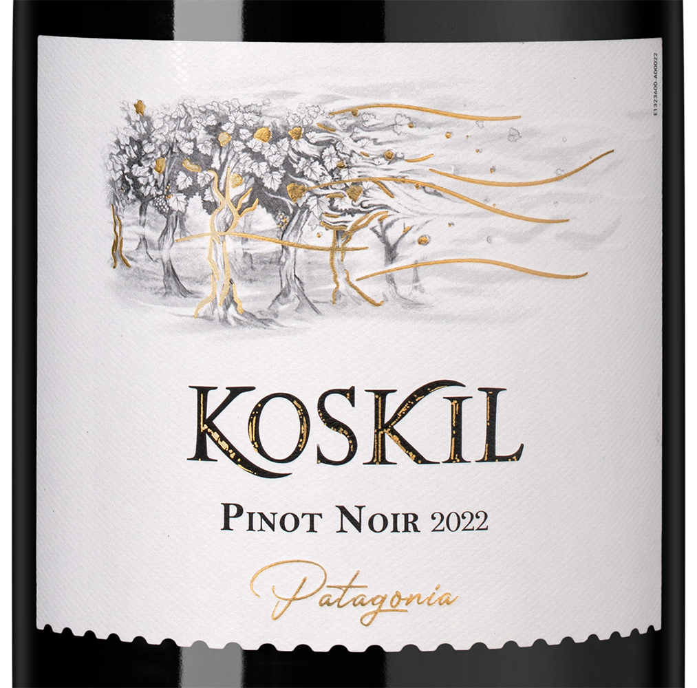 Вино Koskil Pinot Noir, Trapiche, 2022, (151672), Аргентина, Патагония, красное, сухое, 0.75 л, Коскиль Пино Нуар, цена 2490 рублей