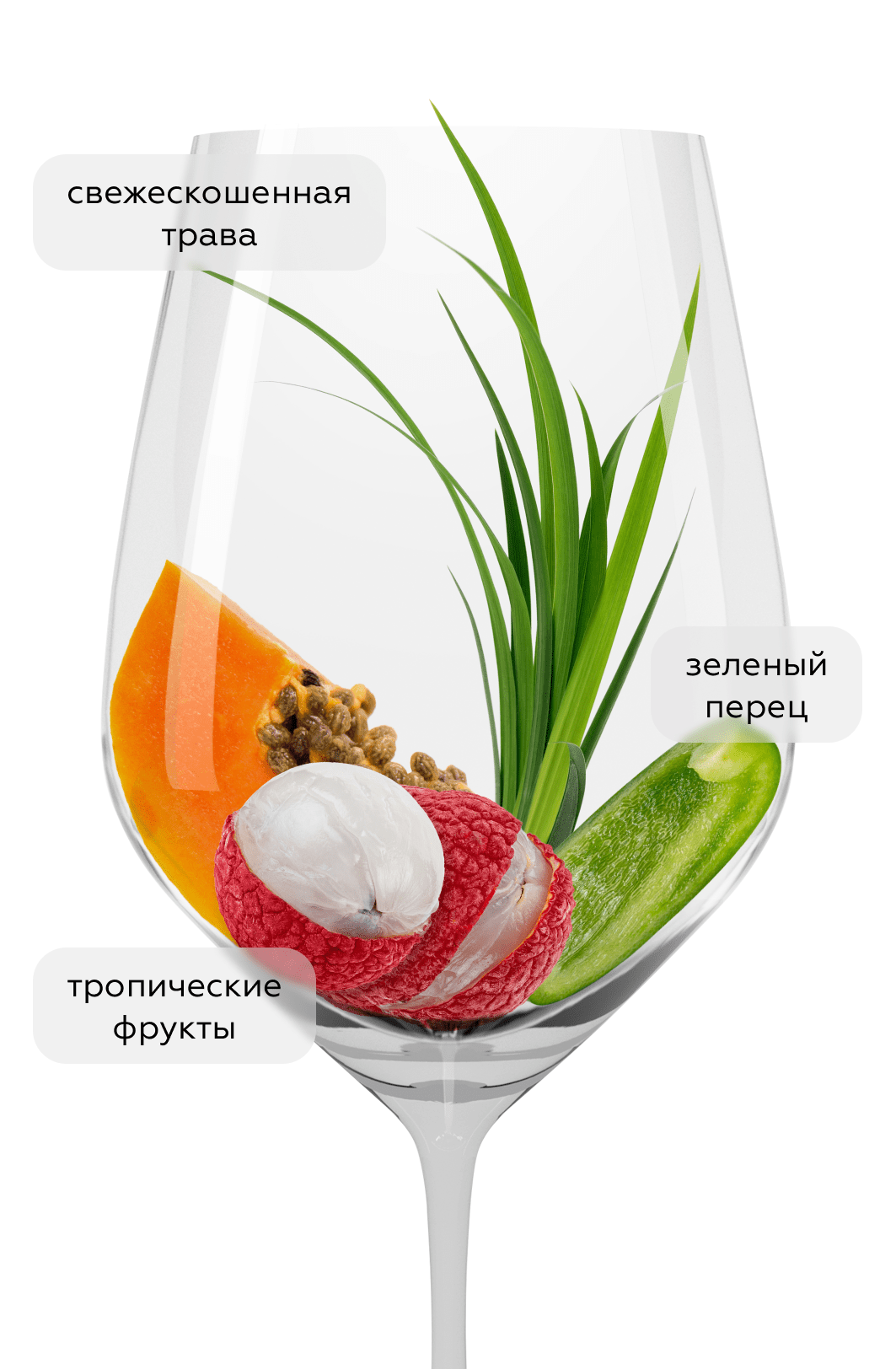 Вино Hans Baer Sauvignon Blanc, Weinkellerei Hechtsheim, 2023, (149226), Германия, Рейнгессен, белое, полусухое, 0.75 л, Ханс Баер Совиньон блан, цена 2140 рублей