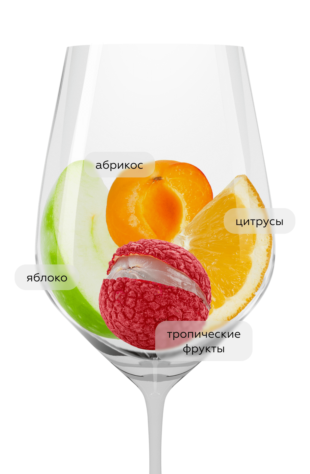 Вино Balbach Riesling, Gunderloch, 2023, (148707), Германия, Рейнгессен, белое, полусладкое, 0.75 л, Рислинг Бальбах, цена 2443 рублей