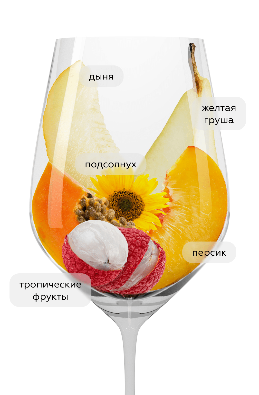 Вино Усадьба Мезыбь. Вионье, 2023, (153675), Россия, Кубань, белое, сухое, 0.75 л, Усадьба Мезыбь. Вионье, цена 2390 рублей