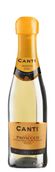Белое шампанское и игристое вино Canti Prosecco