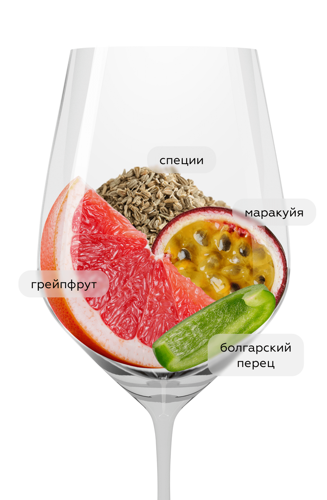 Вино Point Sauvignon Blanc, Nigl, 2025, (159883), Австрия, Нижняя Австрия, белое, полусухое, 0.75 л, Совиньон Блан Поинт, цена 2790 рублей