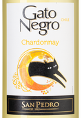 Вино с вкусом белых фруктов Gato Negro Chardonnay