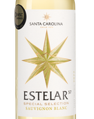 Вино с тревянистыми нотами Estelar Sauvignon Blanc