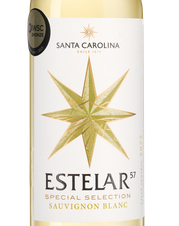 Вино Estelar Sauvignon Blanc, (140939), белое сухое, 2022 г., 0.75 л, Эстелар Совиньон Блан цена 1190 рублей