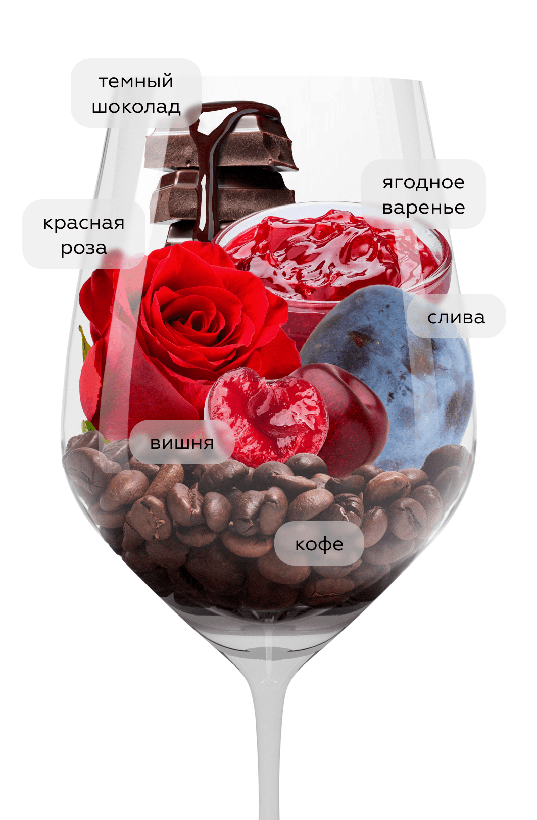 Вино Centenero Amarone della Valpolicella, Cielo, 2021, (153769), Италия, Венето, красное, полусухое, 0.75 л, Амароне делла Вальполичелла Чентенеро, цена 6990 рублей