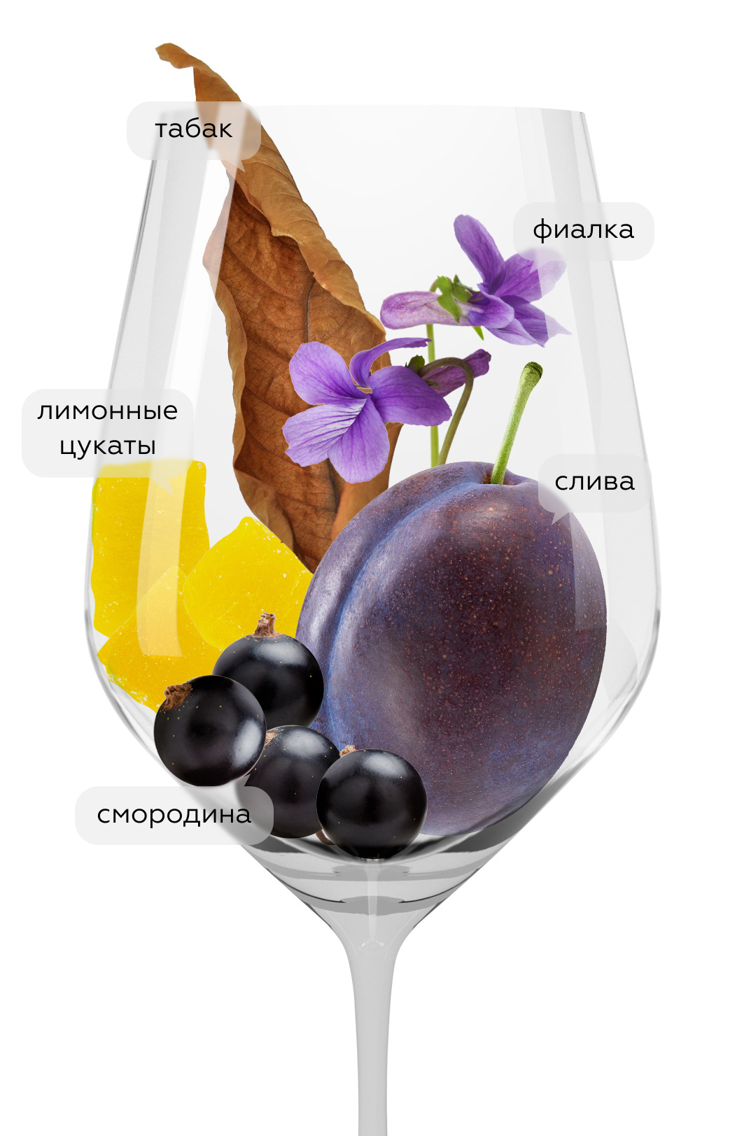 Вино Cum Laude в подарочной упаковке, Banfi, 2022, 1.5л, (154219), Италия, Тоскана, красное, сухое, 1.5 л, Кум Лауде, цена 15990 рублей