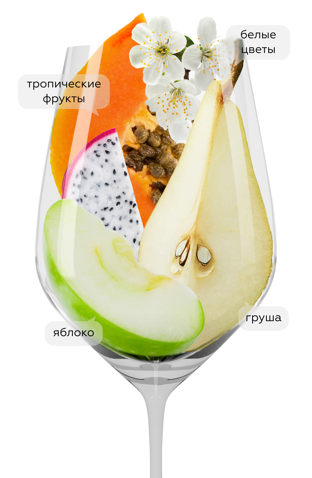 Вино Lugana San Benedetto, Zenato, 2024, (153865), Италия, Венето, белое, полусухое, 0.75 л, Лугана Сан Бенедетто, цена 3990 рублей