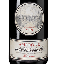Вино Amarone della Valpolicella Classico, (139610), красное полусухое, 2009 г., 0.75 л, Амароне делла Вальполичелла Классико цена 39990 рублей