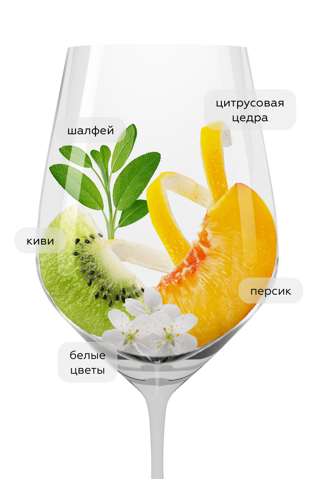 Вино Tenuta Tascante Buonora, Tasca d'Almerita, 2022, (143773), Италия, Сицилия, белое, сухое, 0.75 л, Тенута Тасканте Буонора, цена 5290 рублей