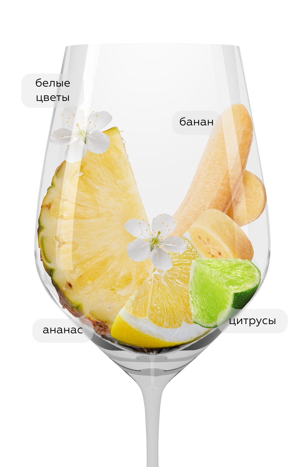 Вино Pinot Grigio, Casa Defra, 2024, (153871), Италия, Венето, белое, полусухое, 0.75 л, Пино Гриджо, цена 1790 рублей