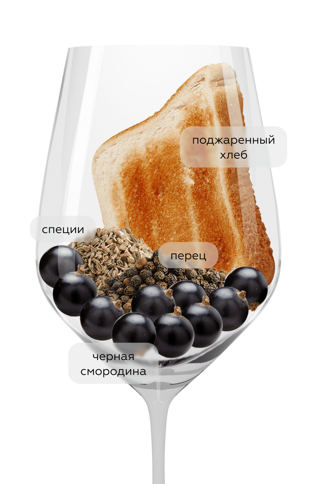 Вино Fronton Le Roc le Classique, Domaine Le Roc, 2020, (147479), Франция, Юго-Запад, красное, сухое, 0.75 л, Фронтон Ле Рок ле Классик, цена 3990 рублей