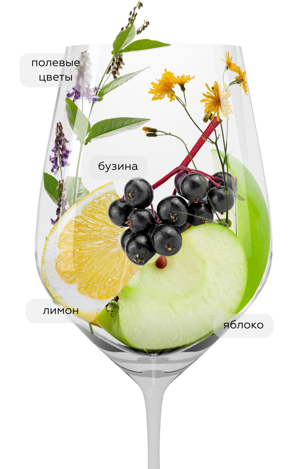 Вино Pinot Grigio Maia, Novapalma, 2023, (149705), Италия, Фриули-Венеция-Джулия, белое, полусухое, 0.75 л, Майа Пино Гриджо, цена 2390 рублей