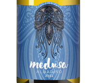 Сухое испанское вино Medusa Albarino