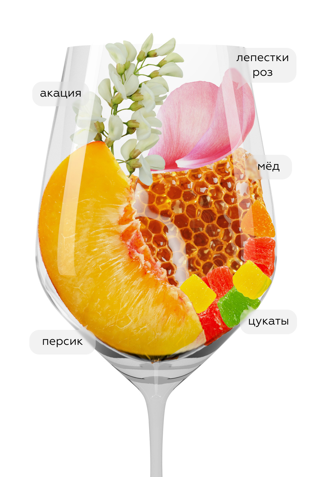 Вино Lighea, Donnafugata, 2022, (142181), Италия, Сицилия, белое, сухое, 0.75 л, Лигеа, цена 5990 рублей