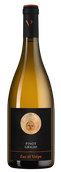 Pinot Grigio Zuc di Volpe
