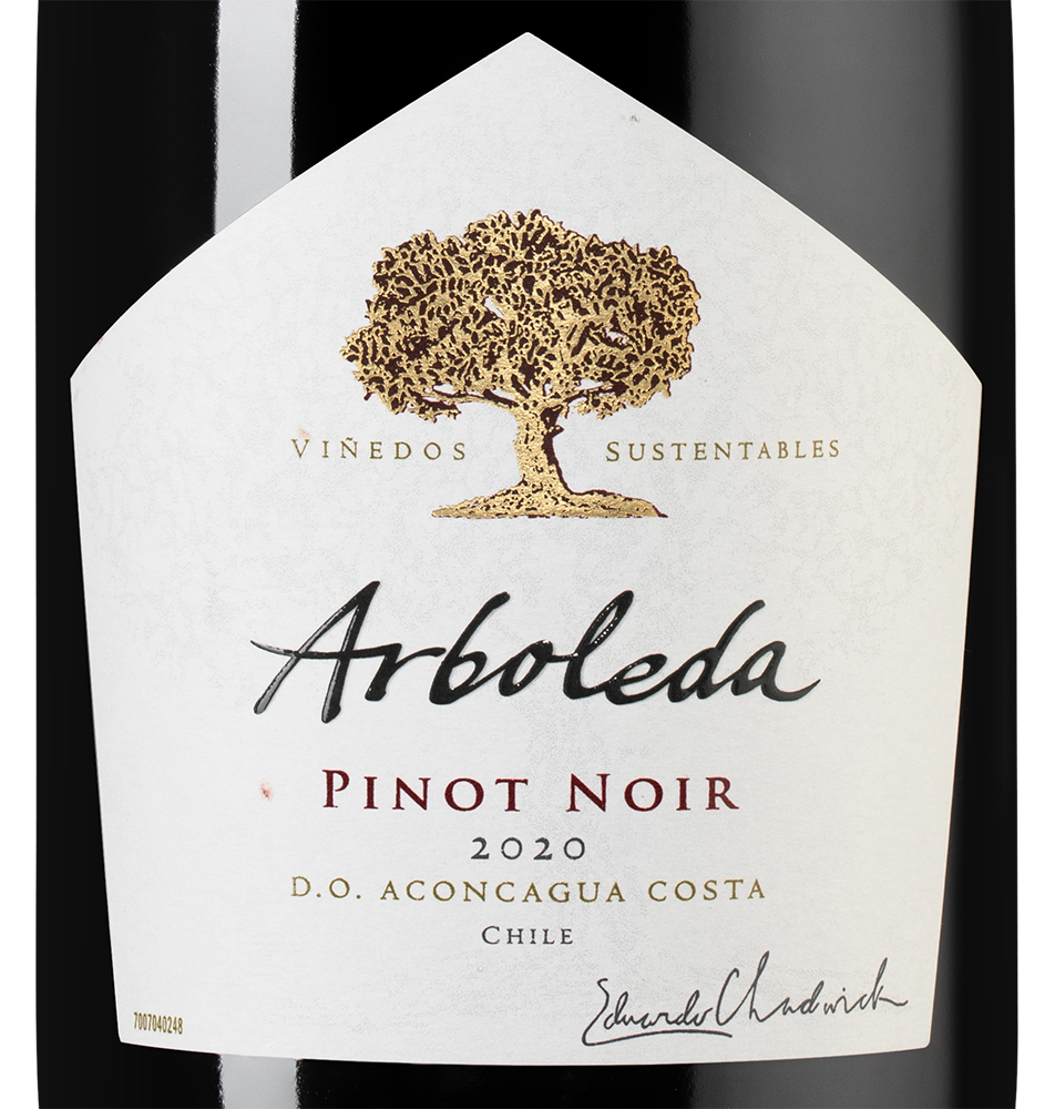 Вино Pinot Noir, Vina Arboleda, 2020, (135928), Чили, Аконкагуа, красное, сухое, 0.75 л, Пино Нуар, цена 5490 рублей