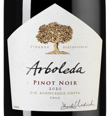 Вино Pinot Noir, (135928), красное сухое, 2020 г., 0.75 л, Пино Нуар цена 4490 рублей