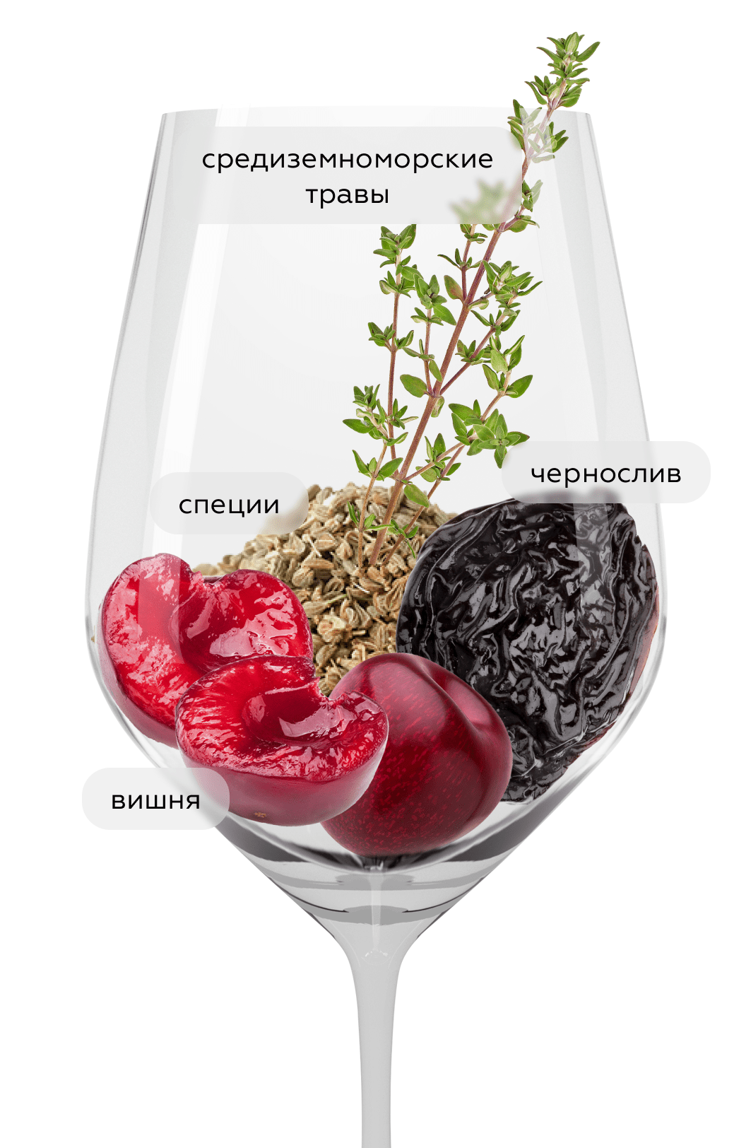 Вино Coleccion 125 Reserva, Bodegas Chivite, 2012, (108509), Испания, Наварра, красное, сухое, 0.75 л, Колексьон 125 Ресерва, цена 8990 рублей