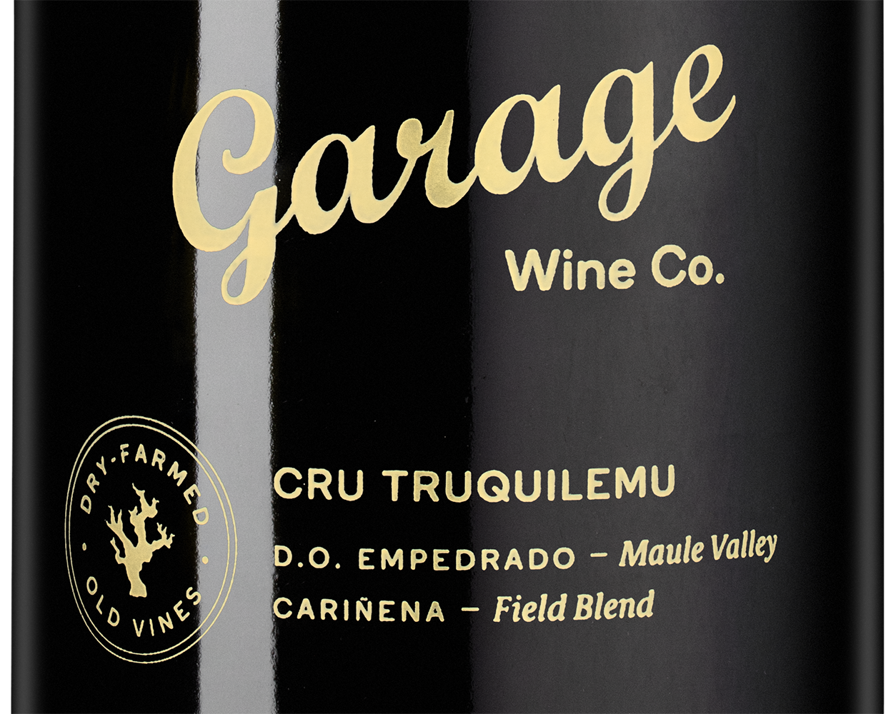 Вино Cru Truquilemu Carinena, Garage Wine, 2020, (153916), Чили, Центральная Долина, красное, сухое, 0.75 л, Крю Трукилему Кариньена, цена 19990 рублей