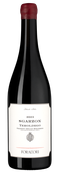 Sgarzon