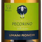 Белые итальянские вина Vellodoro Pecorino 