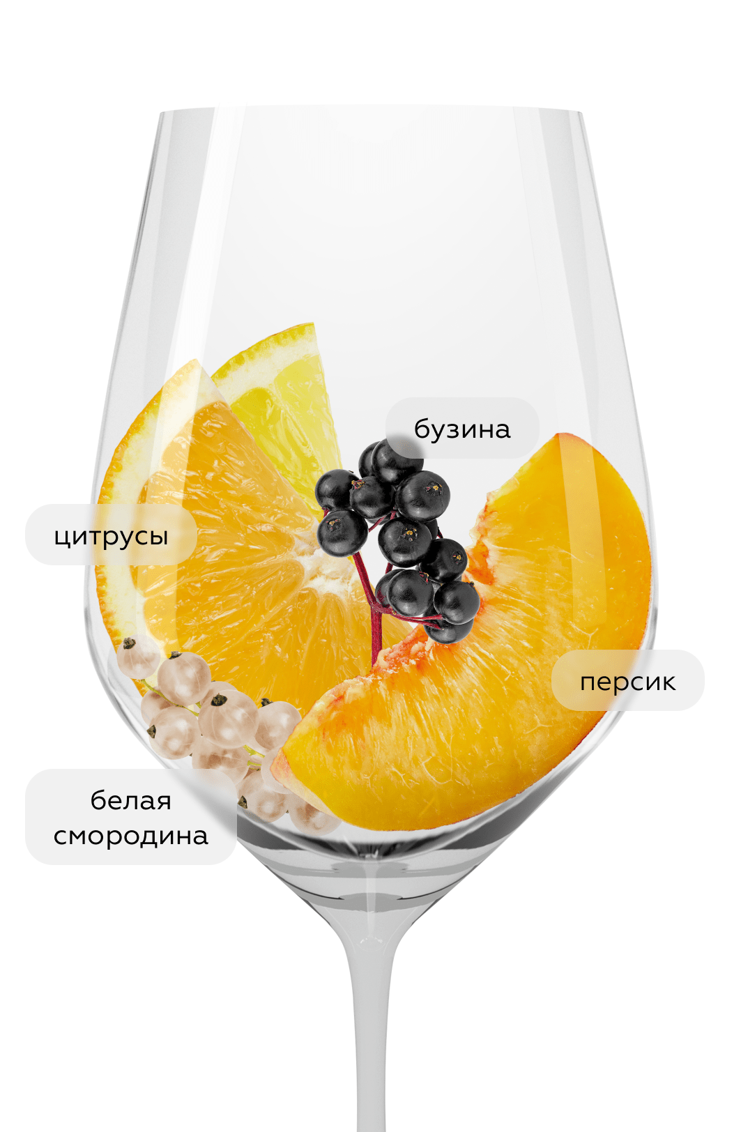 Вино Imprevu, Domaine Tariquet, 2023, (153932), Франция, Юго-Запад, белое, сухое, 0.75 л, Ампревю, цена 3990 рублей