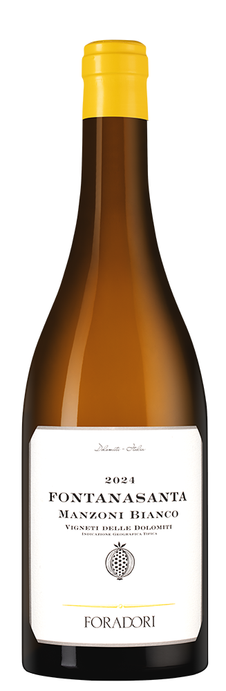 Вино Fontanasanta, Foradori, 2024, (155959), Италия, Трентино-Альто Адидже, белое, сухое, 0.75 л, Фонтанасанта, цена 6990 рублей