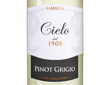 Полусухое вино Pinot Grigio