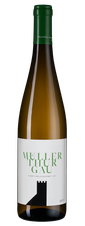 Вино Muller Thurgau, (111613), белое сухое, 2017 г., 0.75 л, Мюллер Тургау цена 2290 рублей